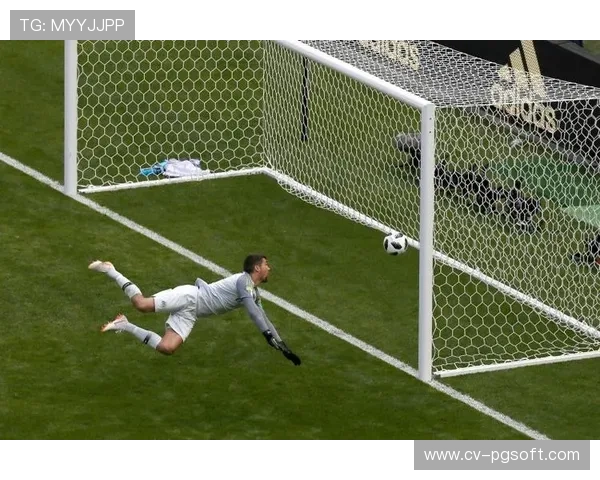 门线技术与VAR系统在法甲的应用与升级情况