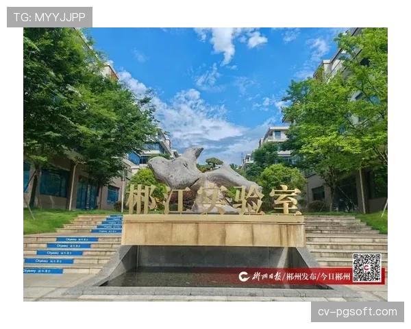 现代足球战术实验室：高位压迫体系的创新与实验精神